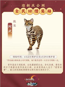 天龙八部私服没法注册